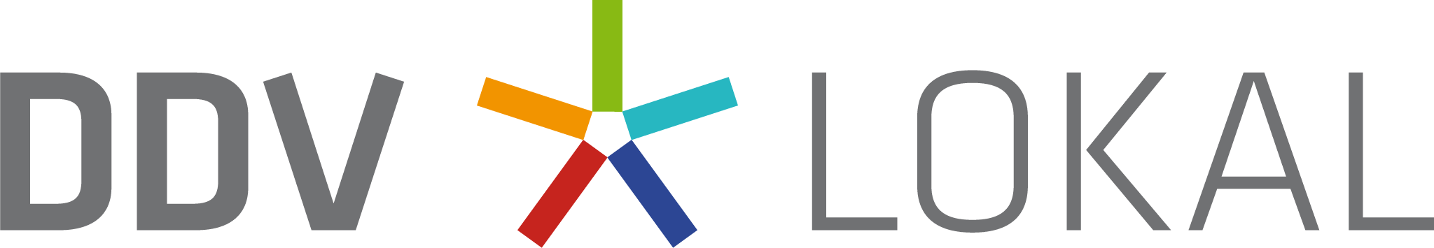 DDV Lokal Logo