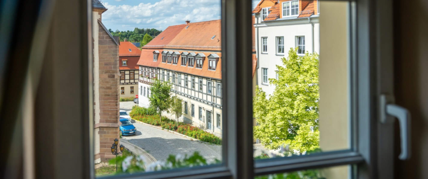 Zimmeraussicht vom Hotel Reussischer Hof Zimmeraussicht