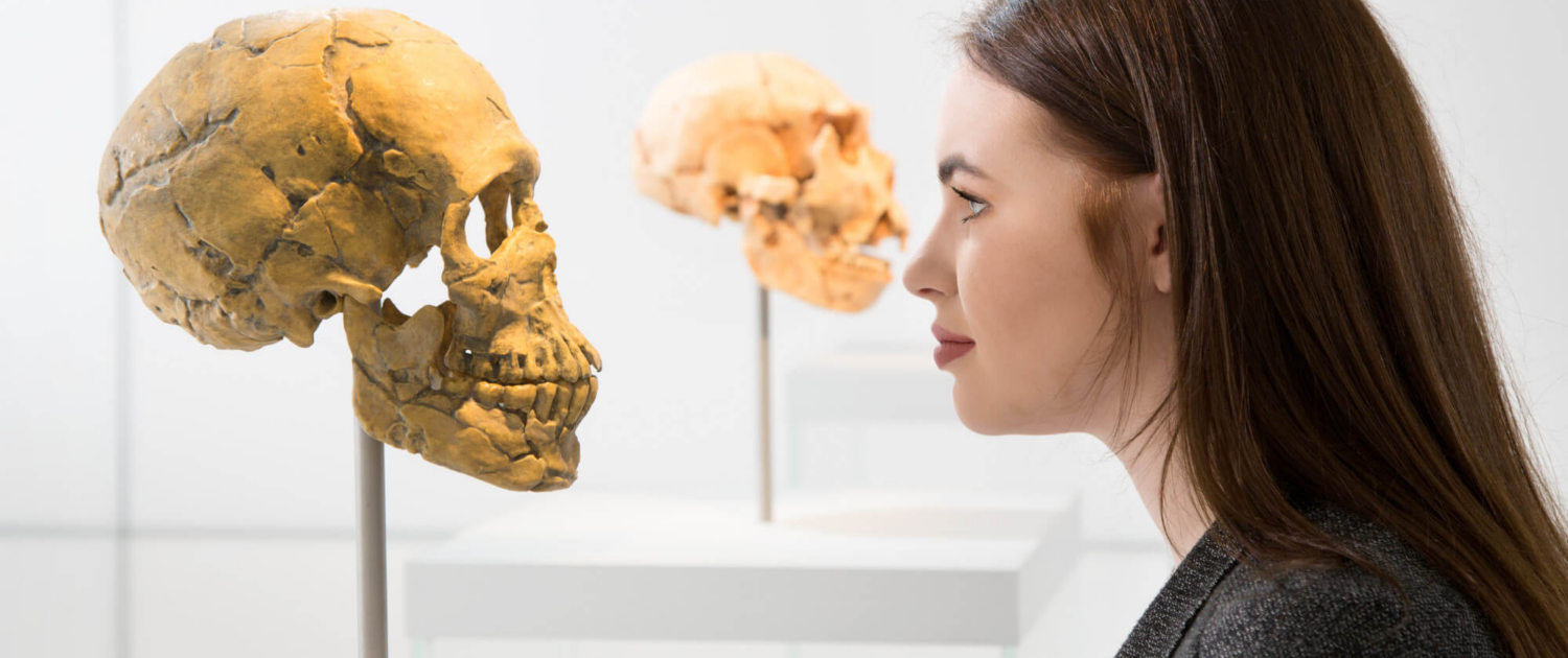 Staatliches Museum für Archäologie Chemnitz Staatliches Museum für Archäologie Chemnitz